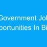 Government Job Opportunities In Bihar India