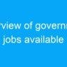 Overview of government jobs available in the Indian Air Force for 12th pass candidates