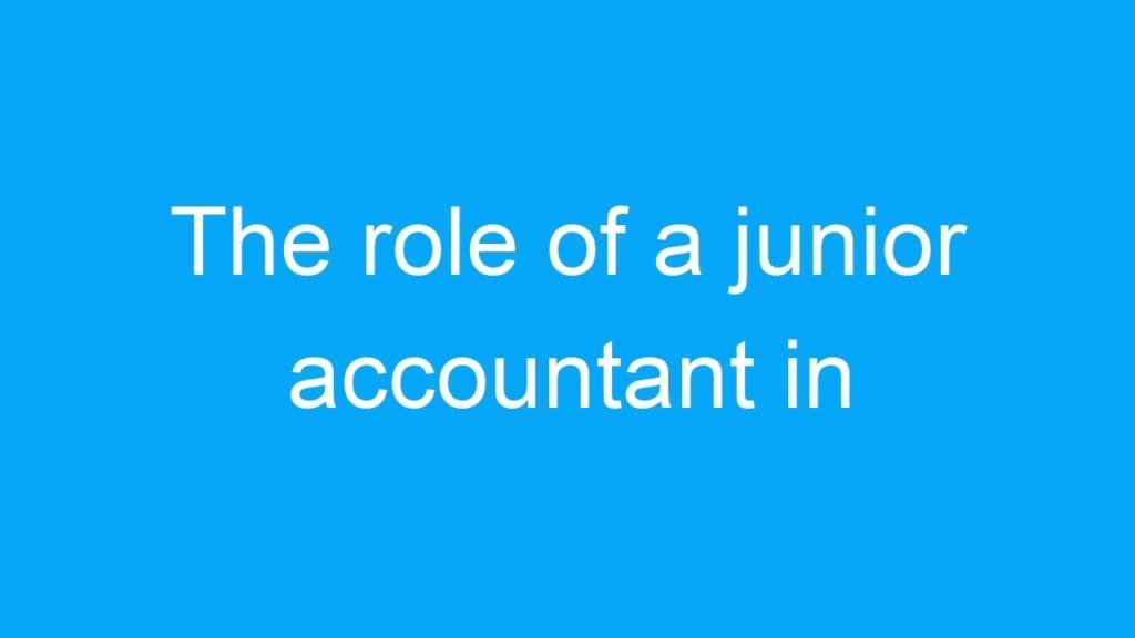 The role of a junior accountant in government jobs for 12th pass candidates in India